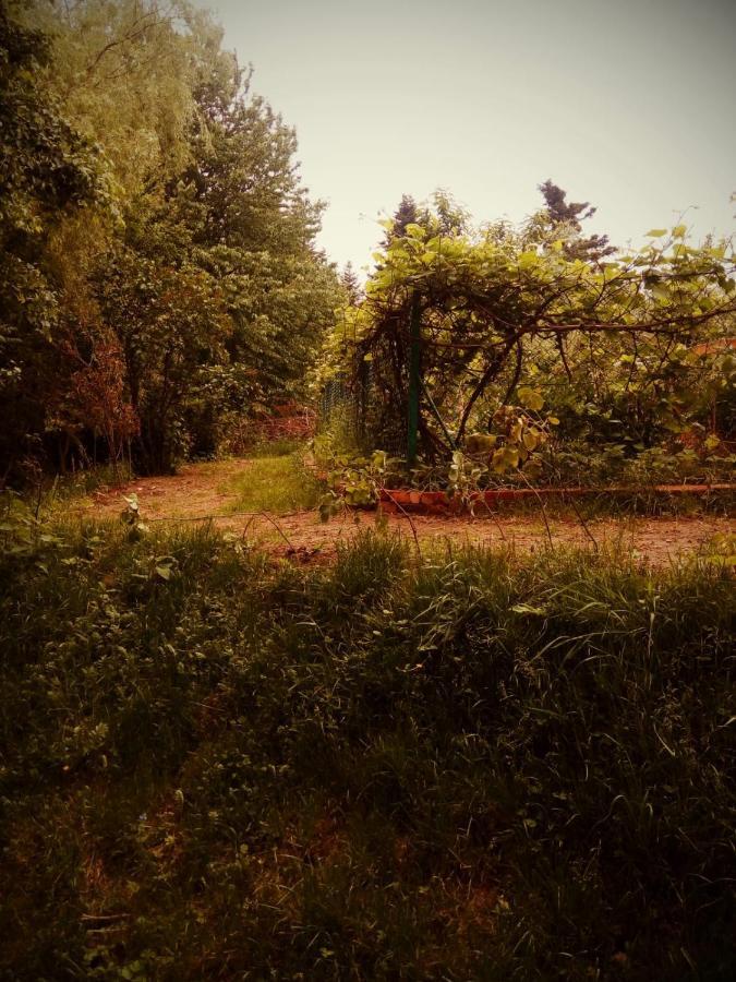 Agroturystyka U Babci Czchow Exteriör bild