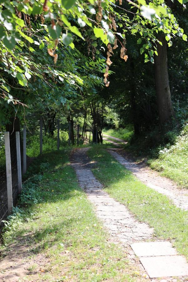 Agroturystyka U Babci Czchow Exteriör bild