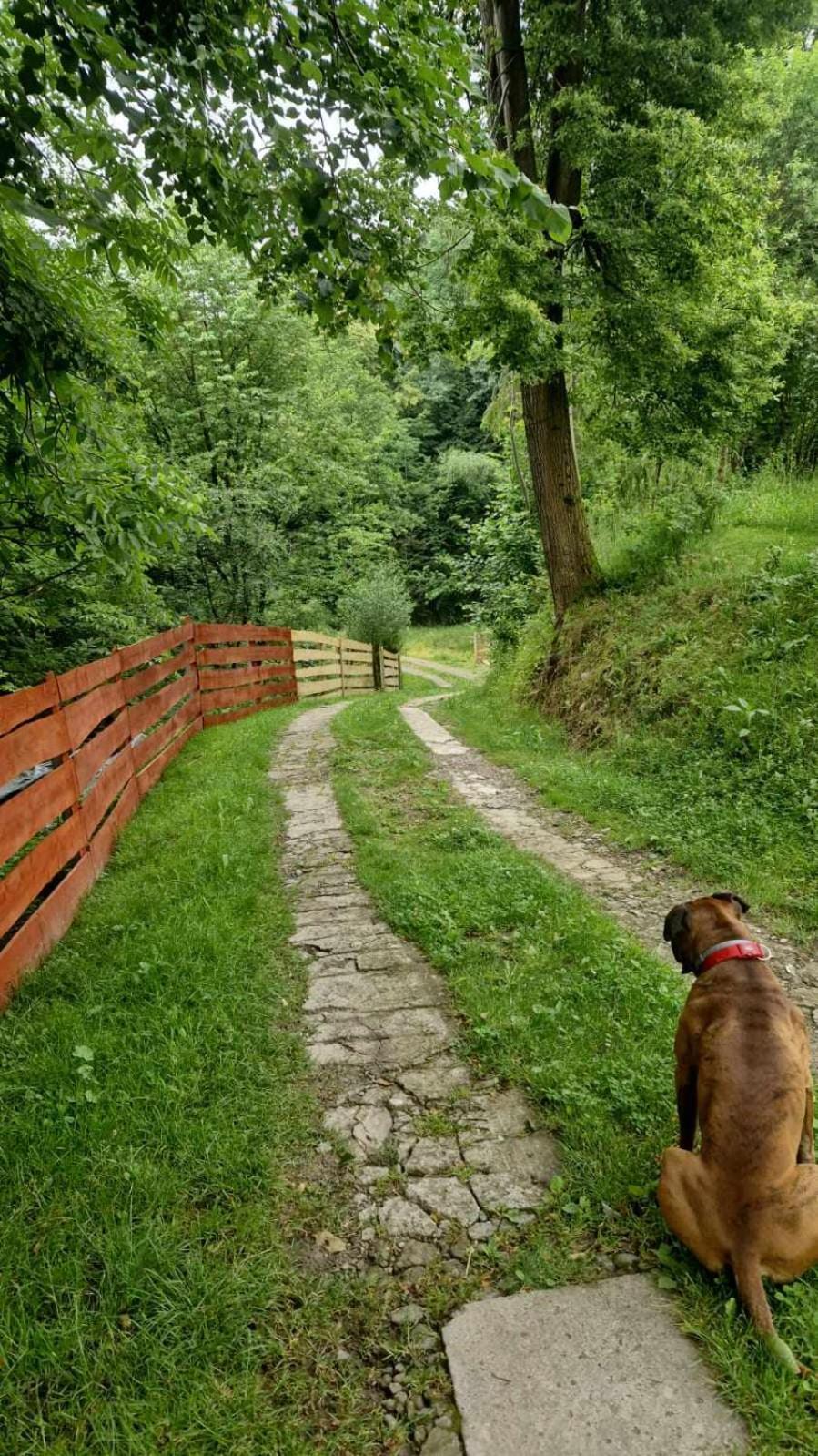 Agroturystyka U Babci Czchow Exteriör bild
