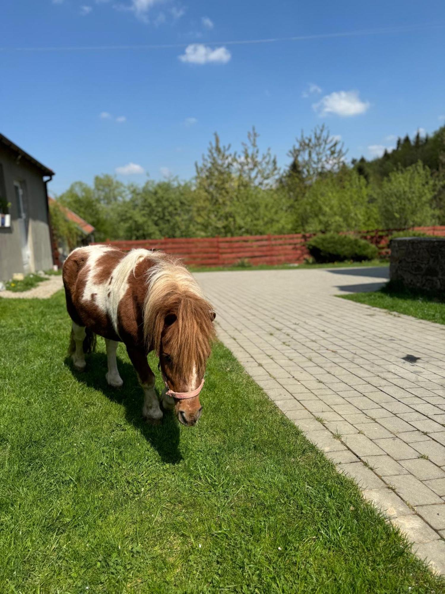 Agroturystyka U Babci Czchow Exteriör bild